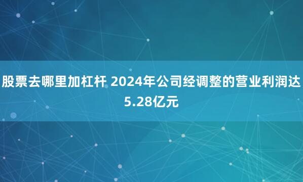股票去哪里加杠杆 2024年公司经调整的营业利润达5.28亿元